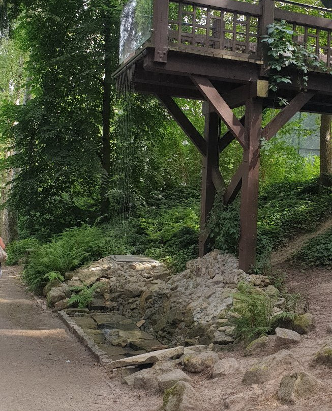 Park Zdrojowy景点图片