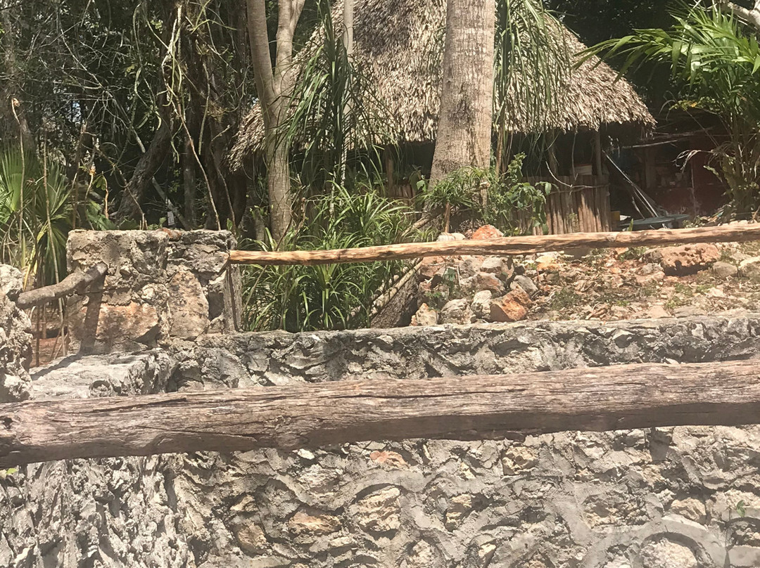 Cenote X'Keken景点图片