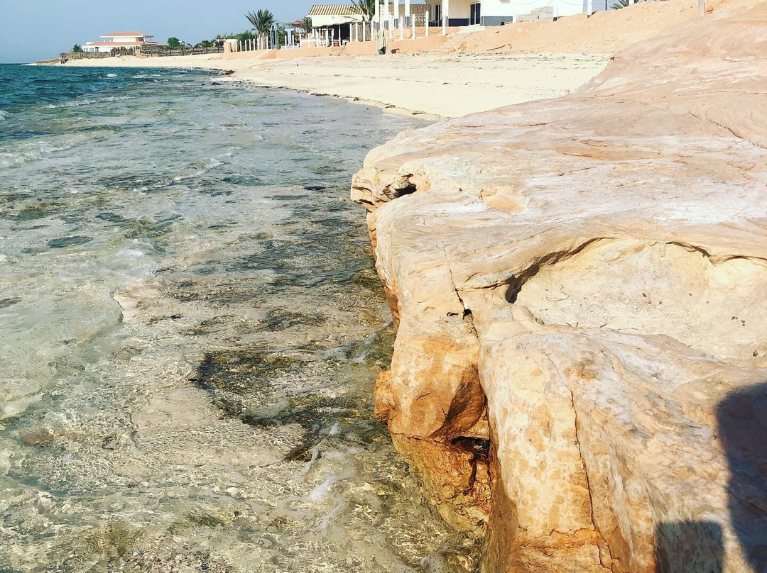 Shuweihat Island-Ruwais必去景点