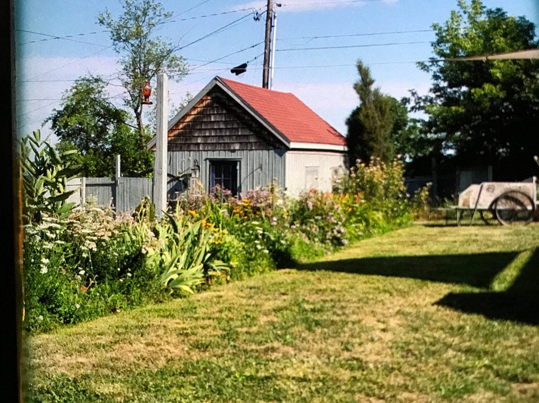 Inn at Charlotte Bed and Breakfast主图