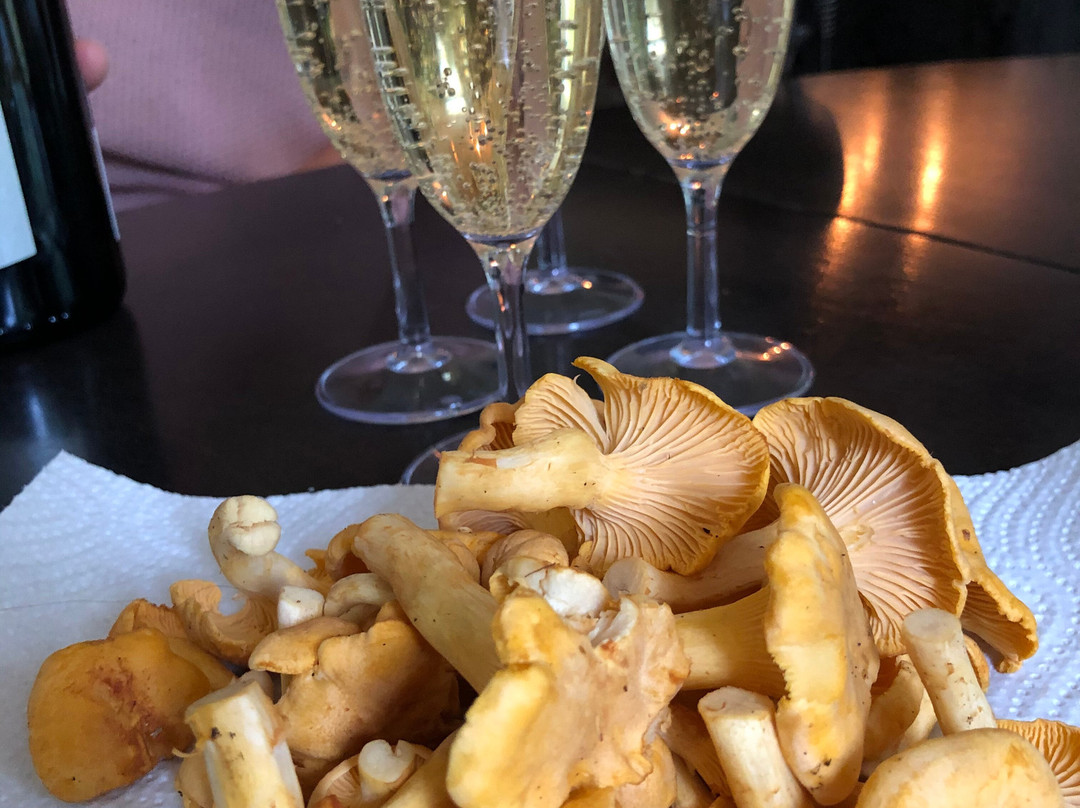 Gunnarskog旅游攻略图片