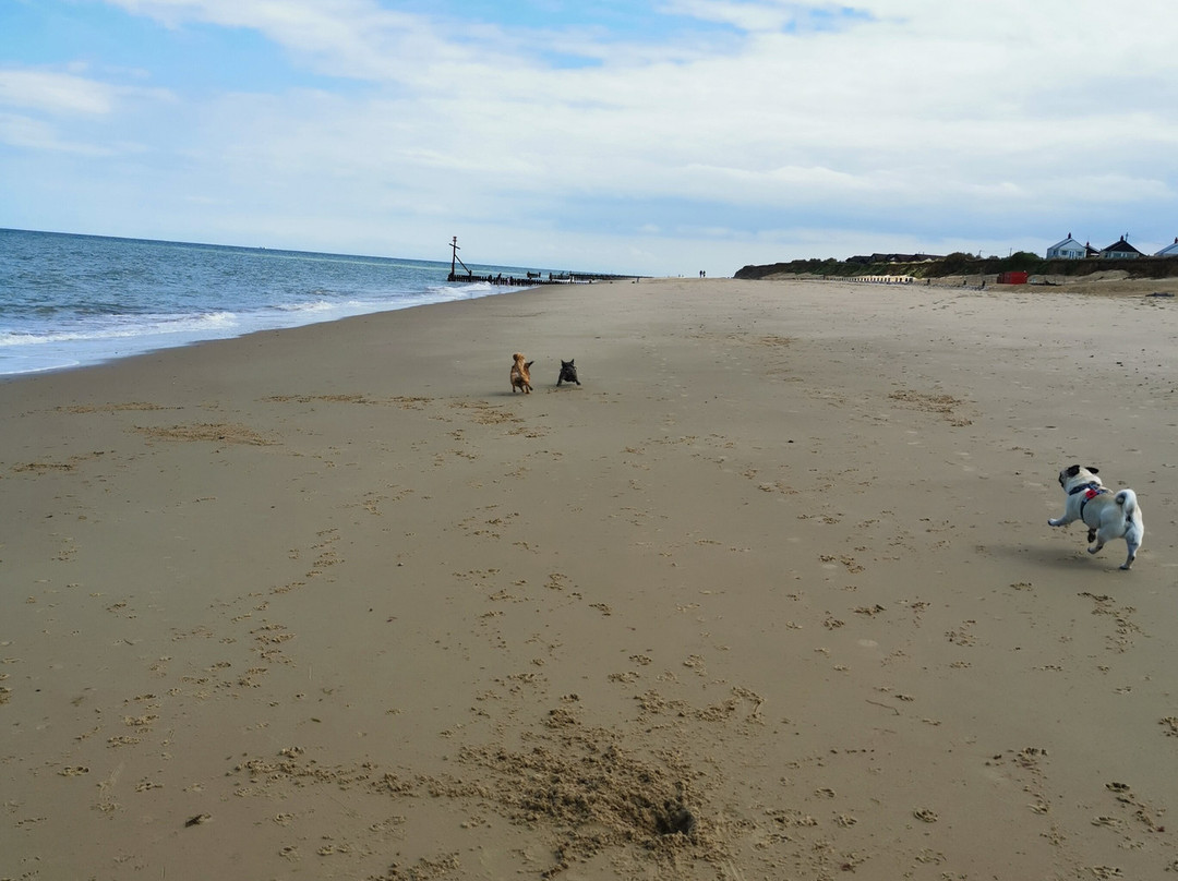Walcott Beach-Walcott必去景点