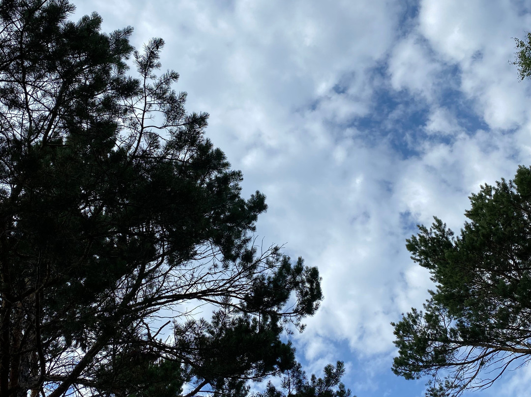 Baykalskaya Riviera Hotel主图