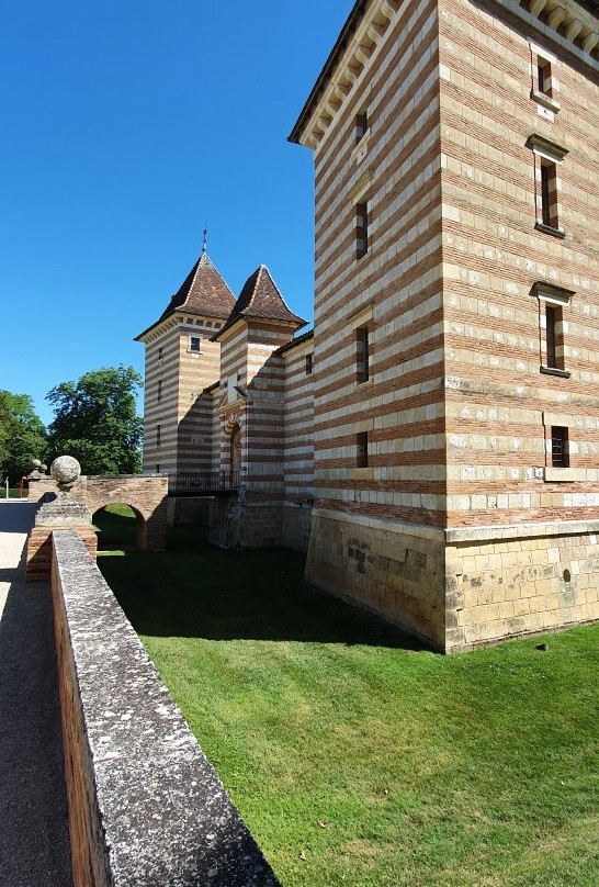Chateau de Lareole景点图片