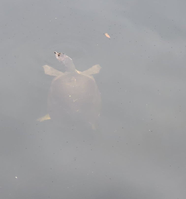 Horton's Pond景点图片