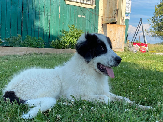Pathways on Pleasure Valley-Uxbridge必去景点
