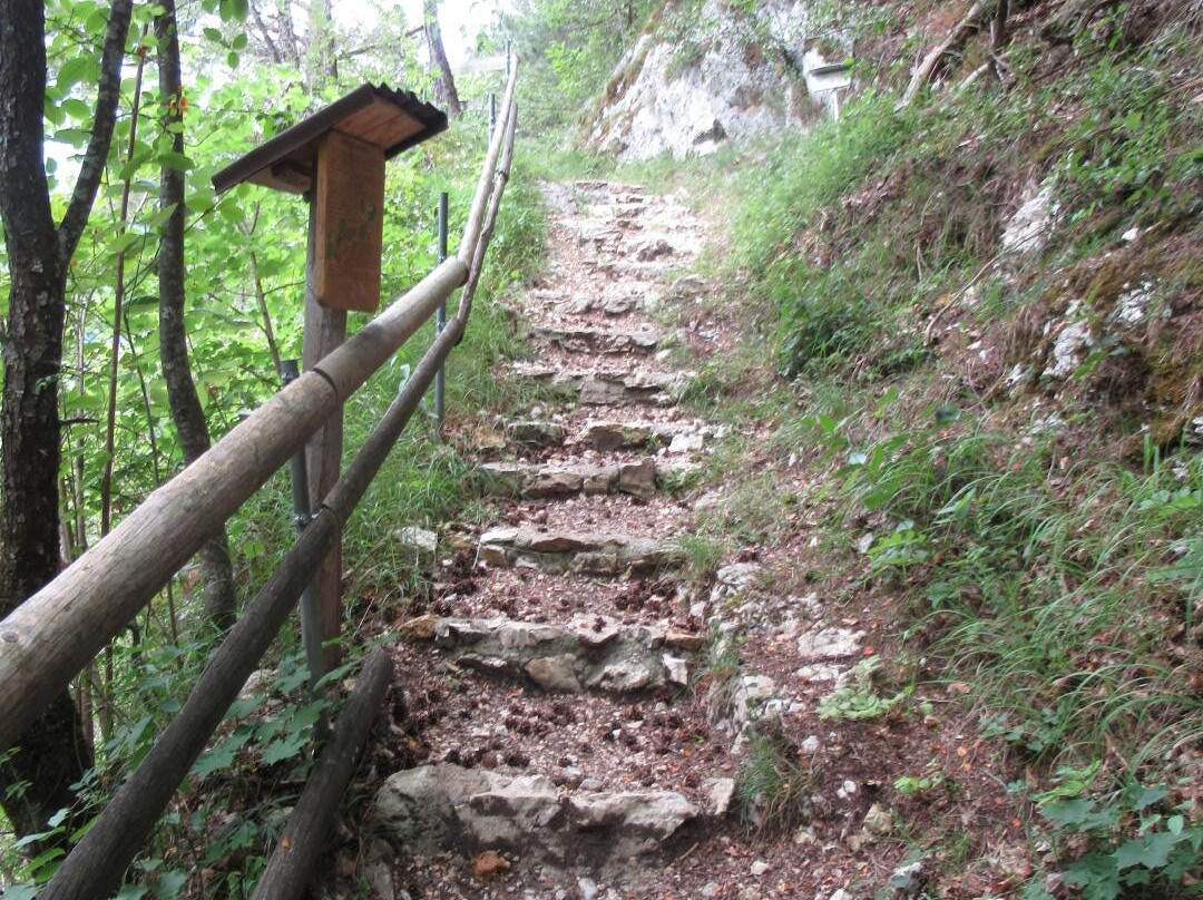 Sentier botanique de Vermes景点图片