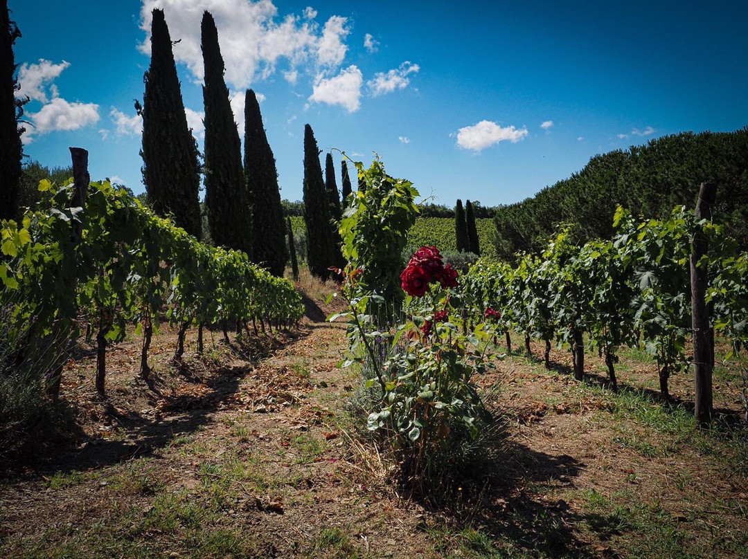 Fattoria di Montemaggio-拉达因基安蒂必去景点