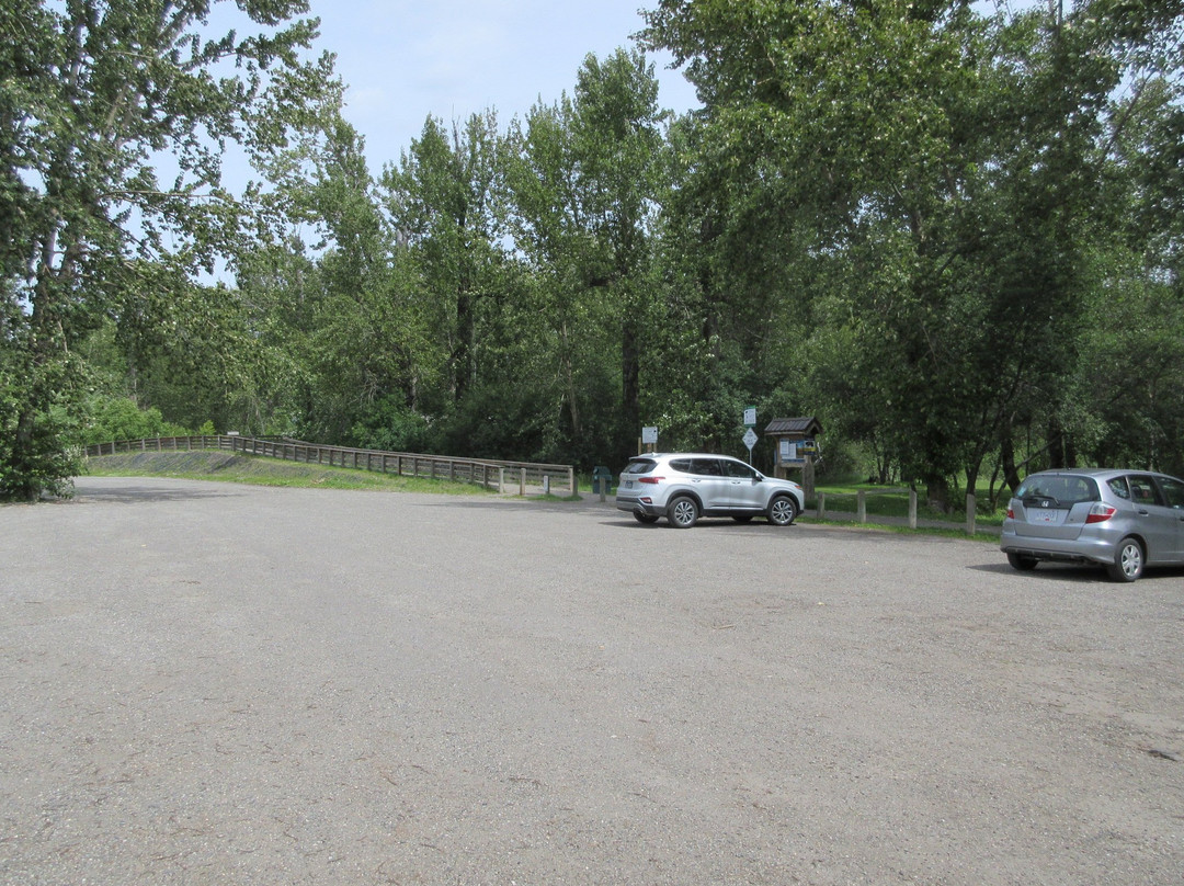 Cottonwood Island Nature Park景点图片