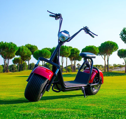 Electric Smile São Martinho do Porto