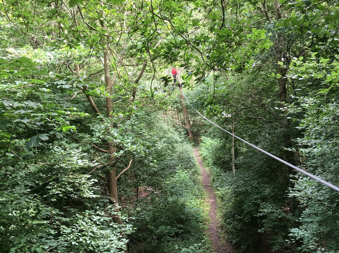 Funky Monkey Park-欧登塞必去景点