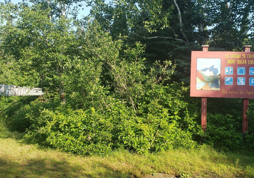 Parc Régional des Appalaches景点图片