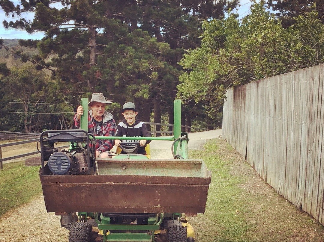 Ingleside Stud Farm主图