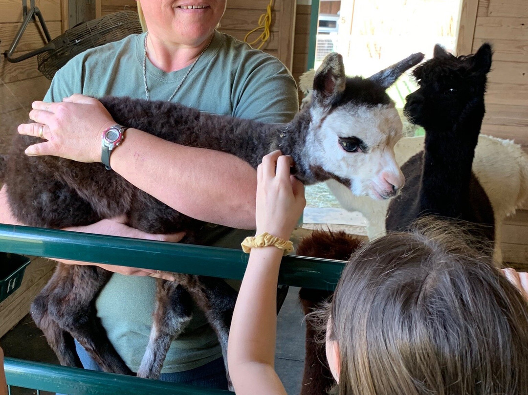 Peeka Ranch-Burton必去景点