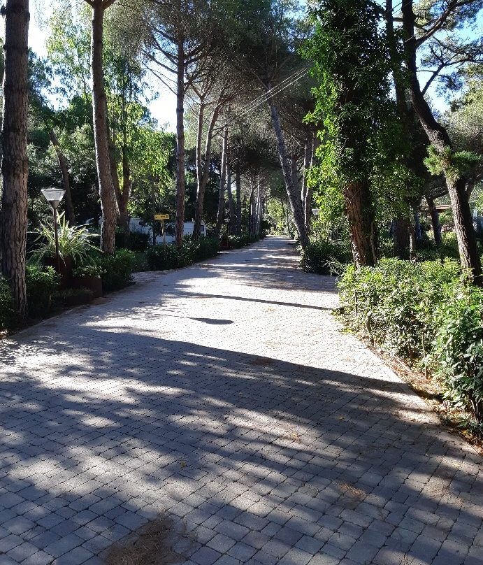 Campo dei Fiori景点图片