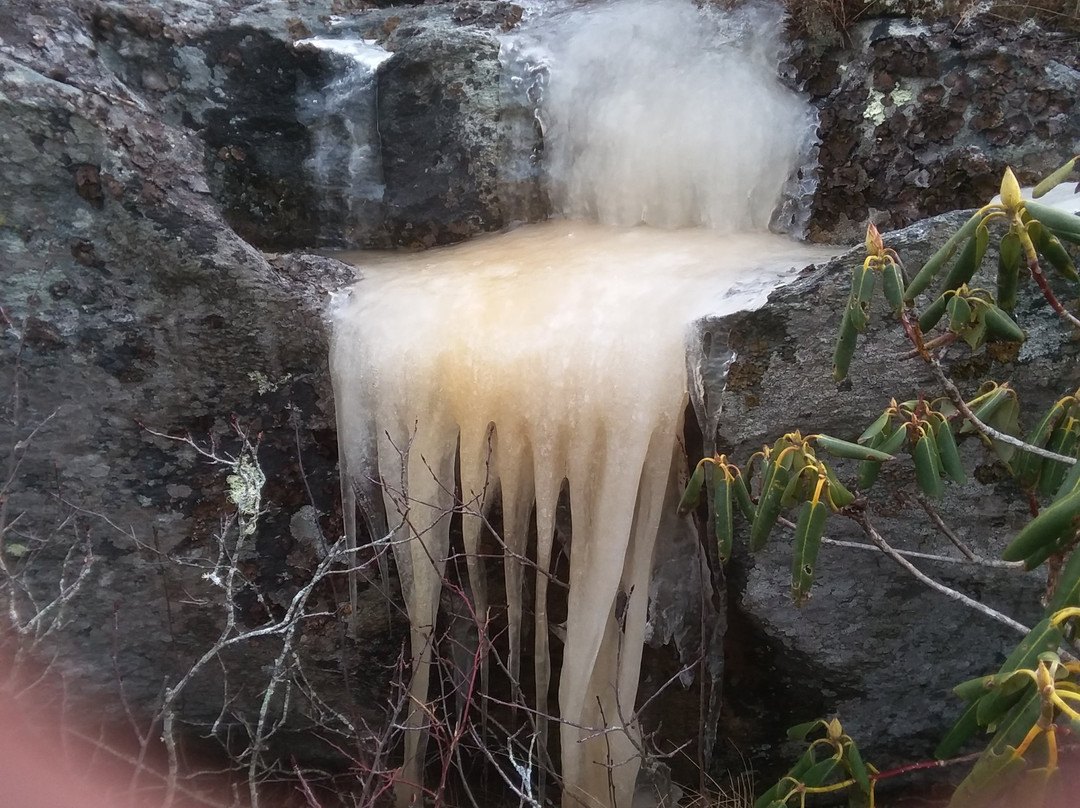 Flat Rock Trail景点图片