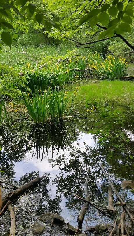 Cutler Park-尼达姆必去景点