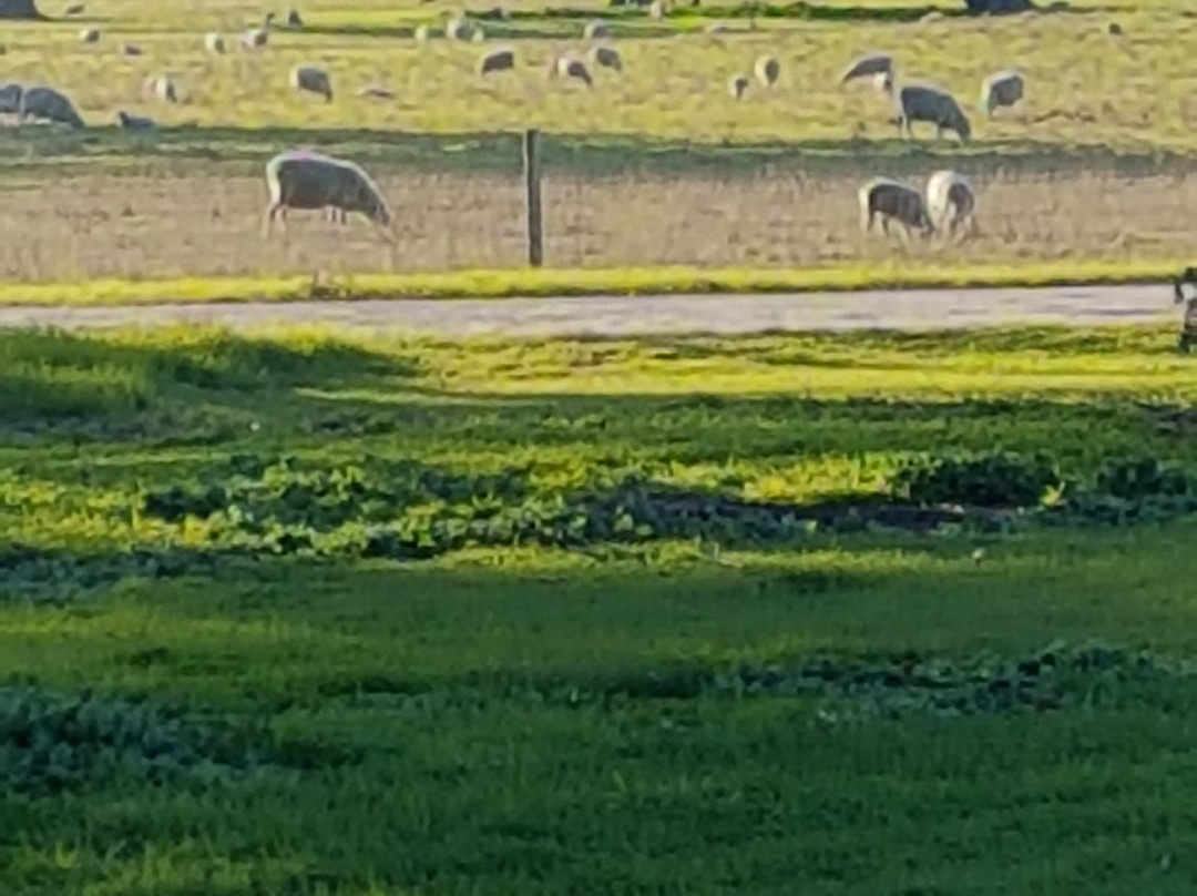 Punters Corner The Retreat主图