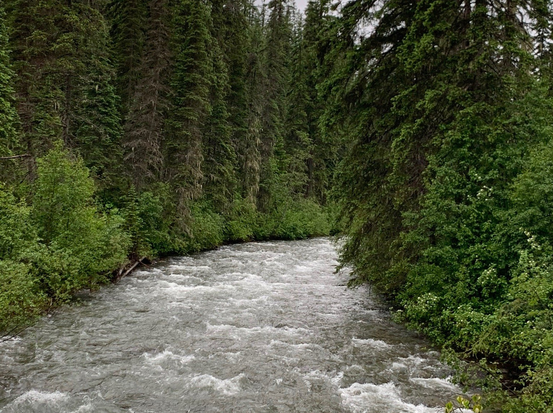 Action Rentals-怀特菲什必去景点