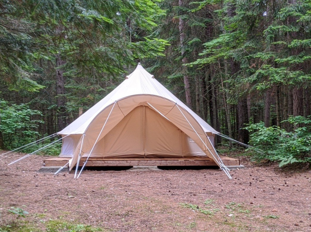 Algonquin Pines Campground主图