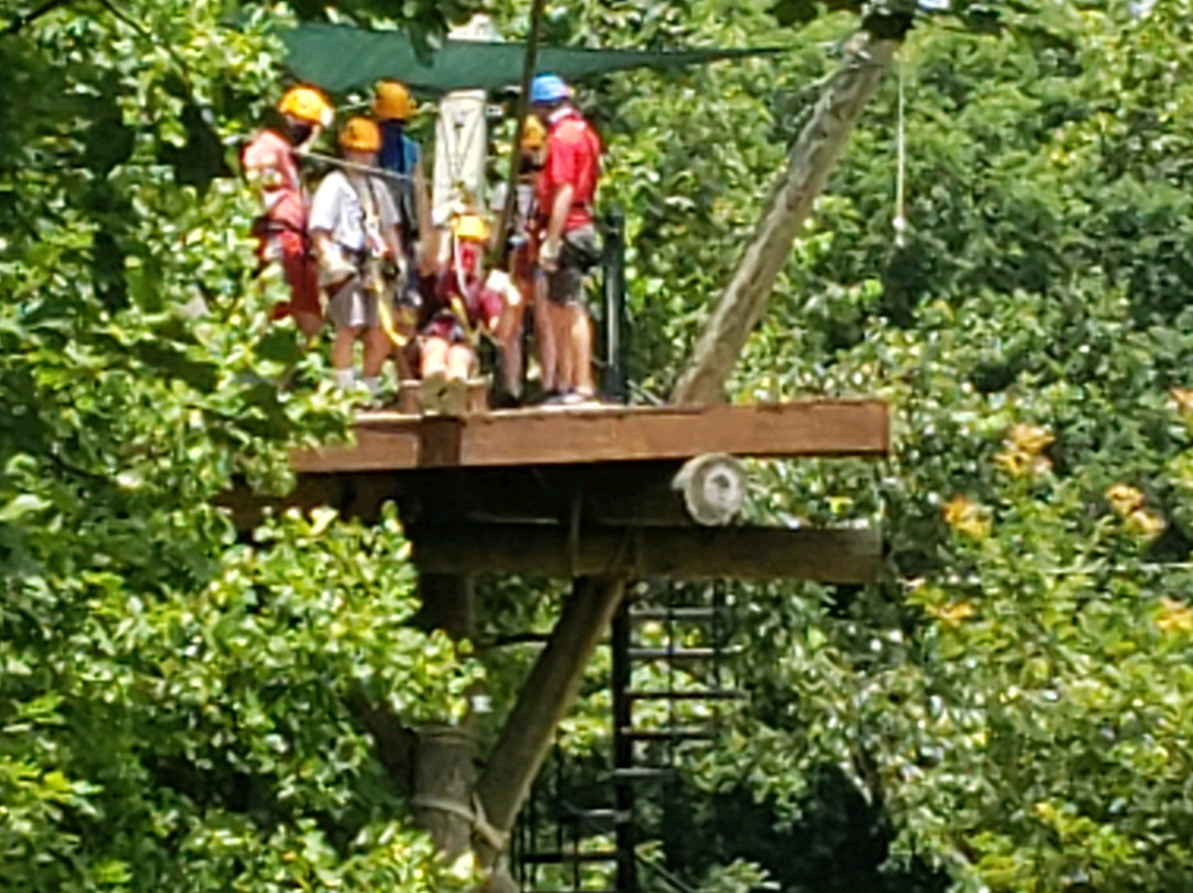 Chattooga Ridge Canopy Tours景点图片