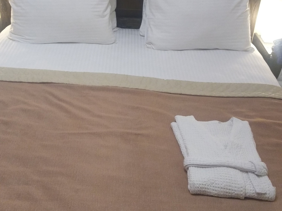 City Hotel主图