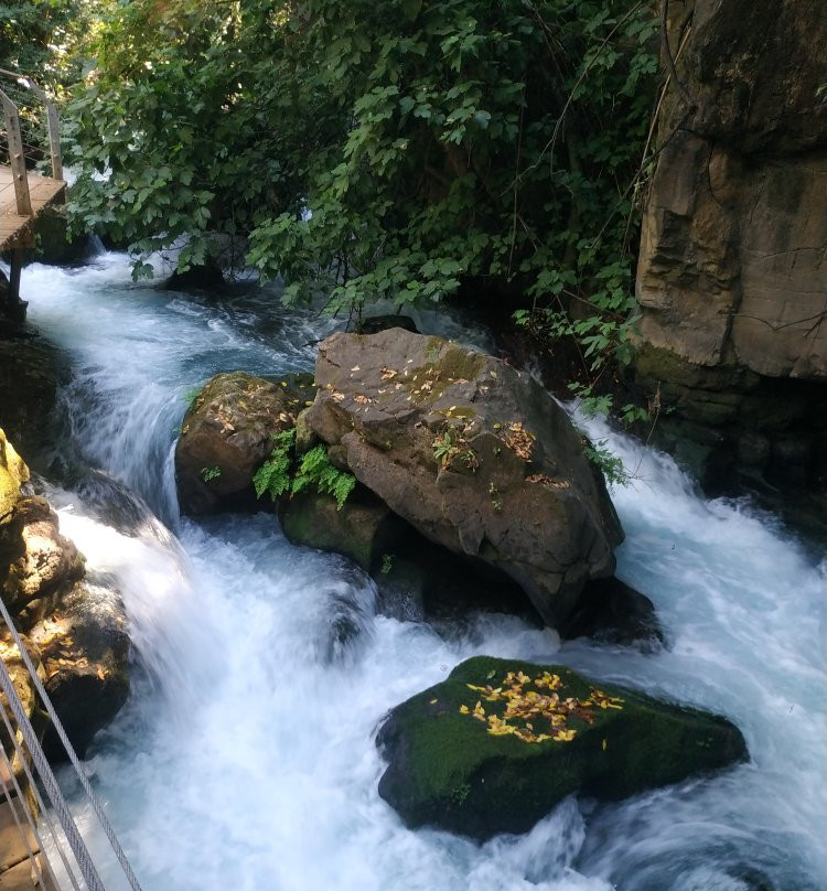 Banias Waterfall-Qiryat Shemona必去景点