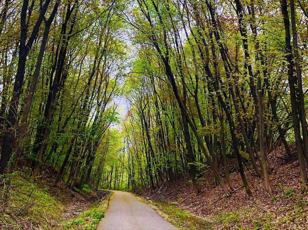 Dover Community Trail-Dover必去景点
