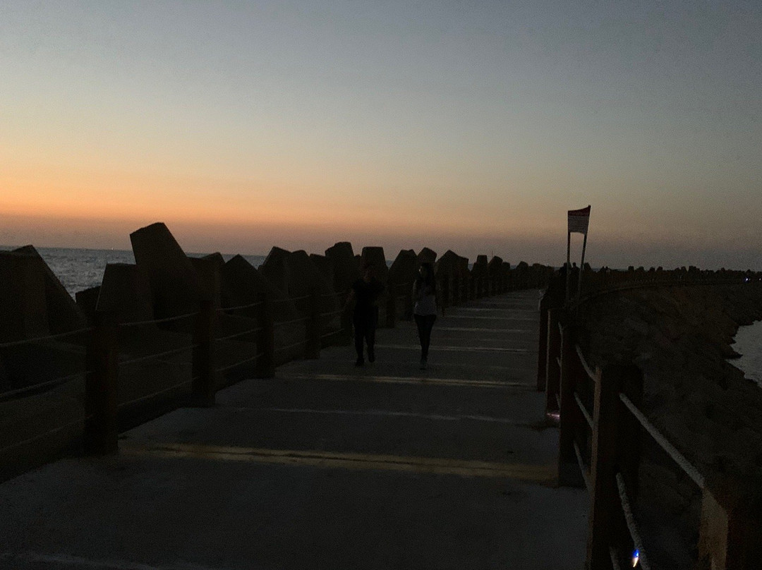 Herzliya Marina-荷兹利亚必去景点