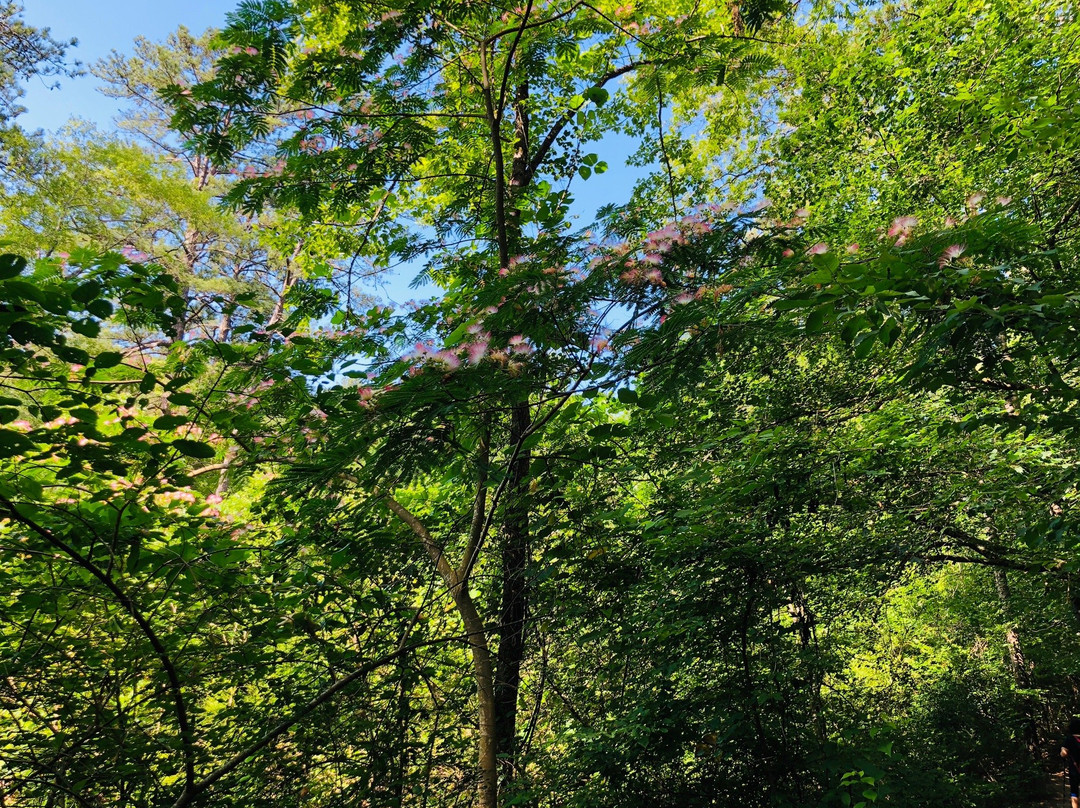 Sweetwater Creek State Park-Lithia Springs必去景点