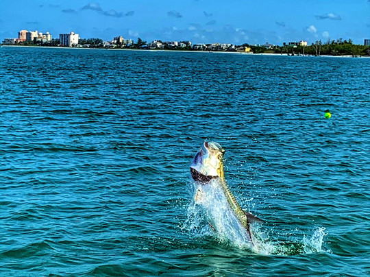 Fish-Tale Marina-迈尔斯堡海滩必去景点