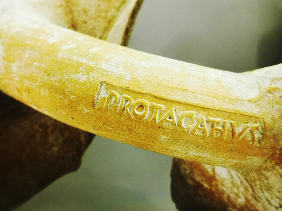 MAFF - Museo Archeologico Francavilla Fontana景点图片
