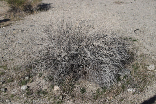 Fred Wolff Bear Creek Nature Preserve