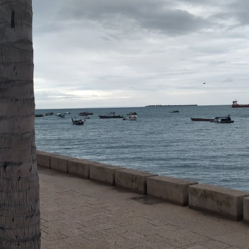 Zanzibar Crystal Tours & Safaris-Kiembi Samaki必去景点