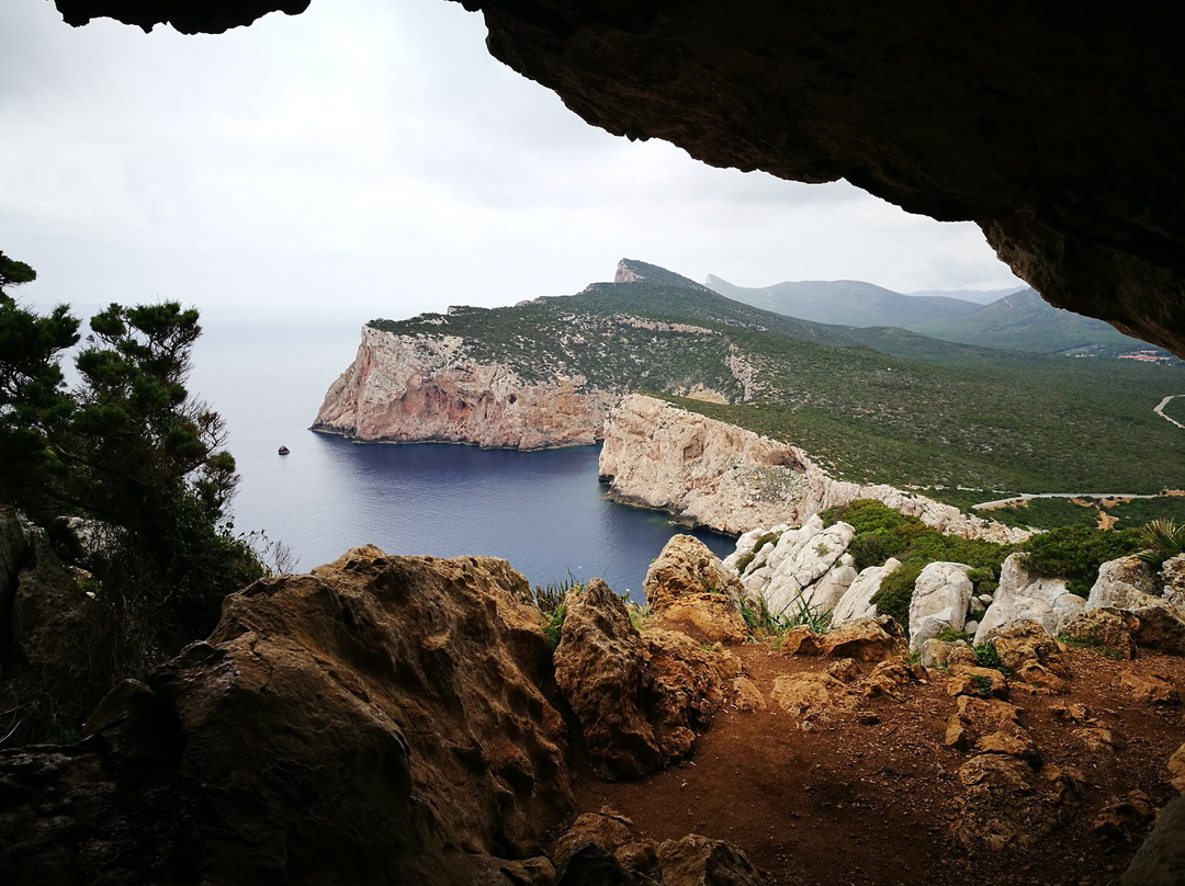 Grotta delle Brocche Rotte-阿尔盖罗必去景点