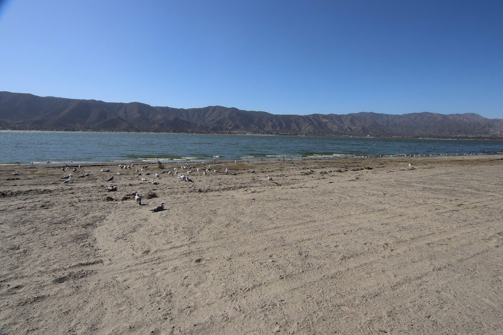 Elm Grove Beach-埃尔西诺湖必去景点