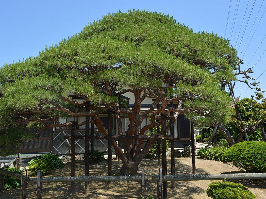 Fumonji Temple-八潮市必去景点