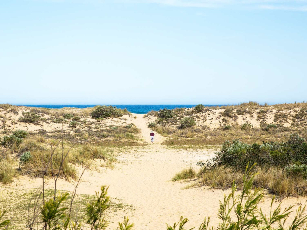 Waygara旅游景点-Lake Tyers State Park