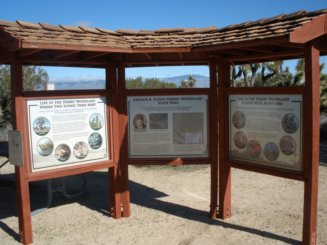 Arthur B. Ripley Desert Woodland State Park