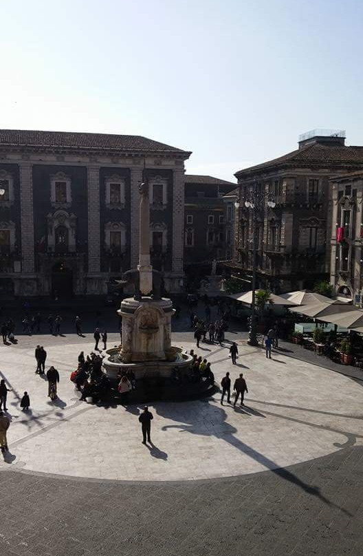 Fontana dell'Elefante景点图片