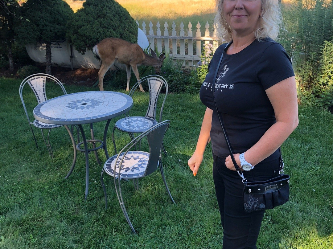 Left Coast Lodge主图