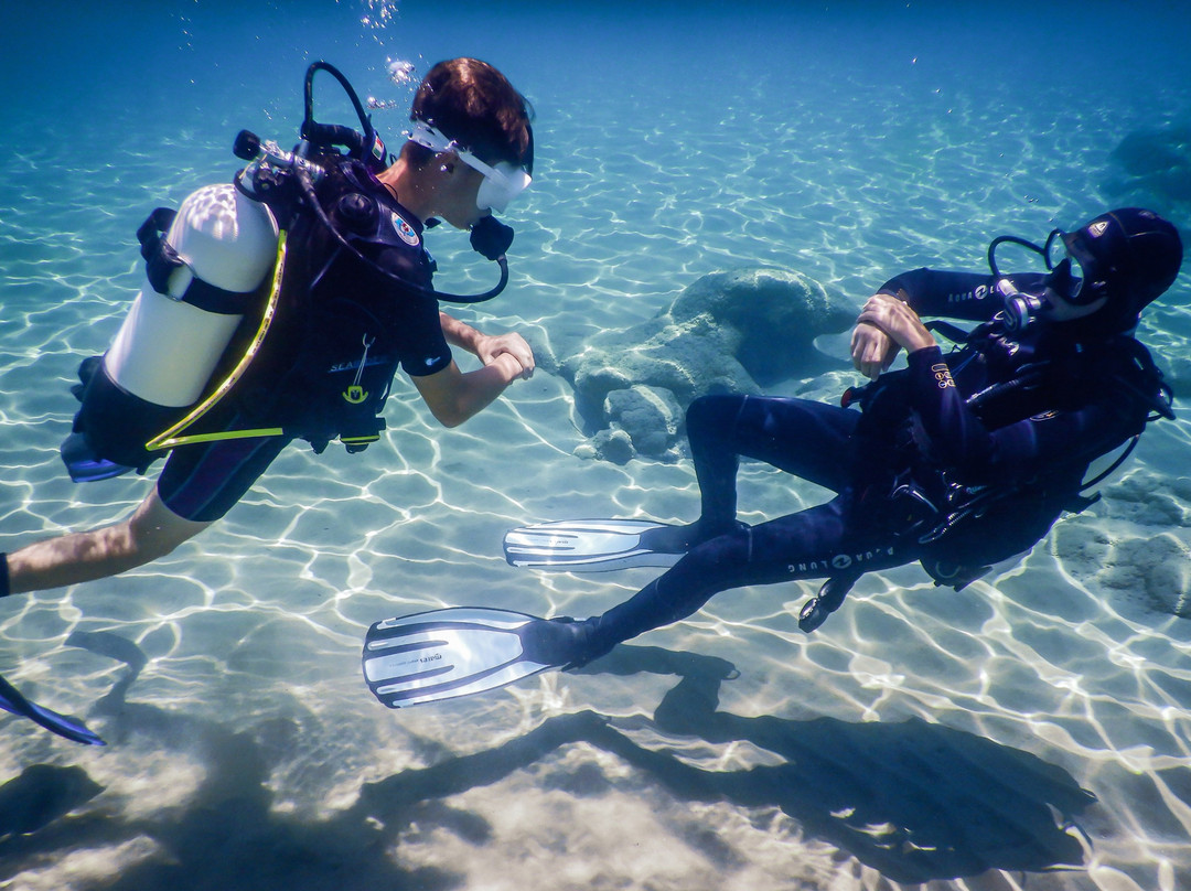 Wild Fun Dive-扎金索斯必去景点