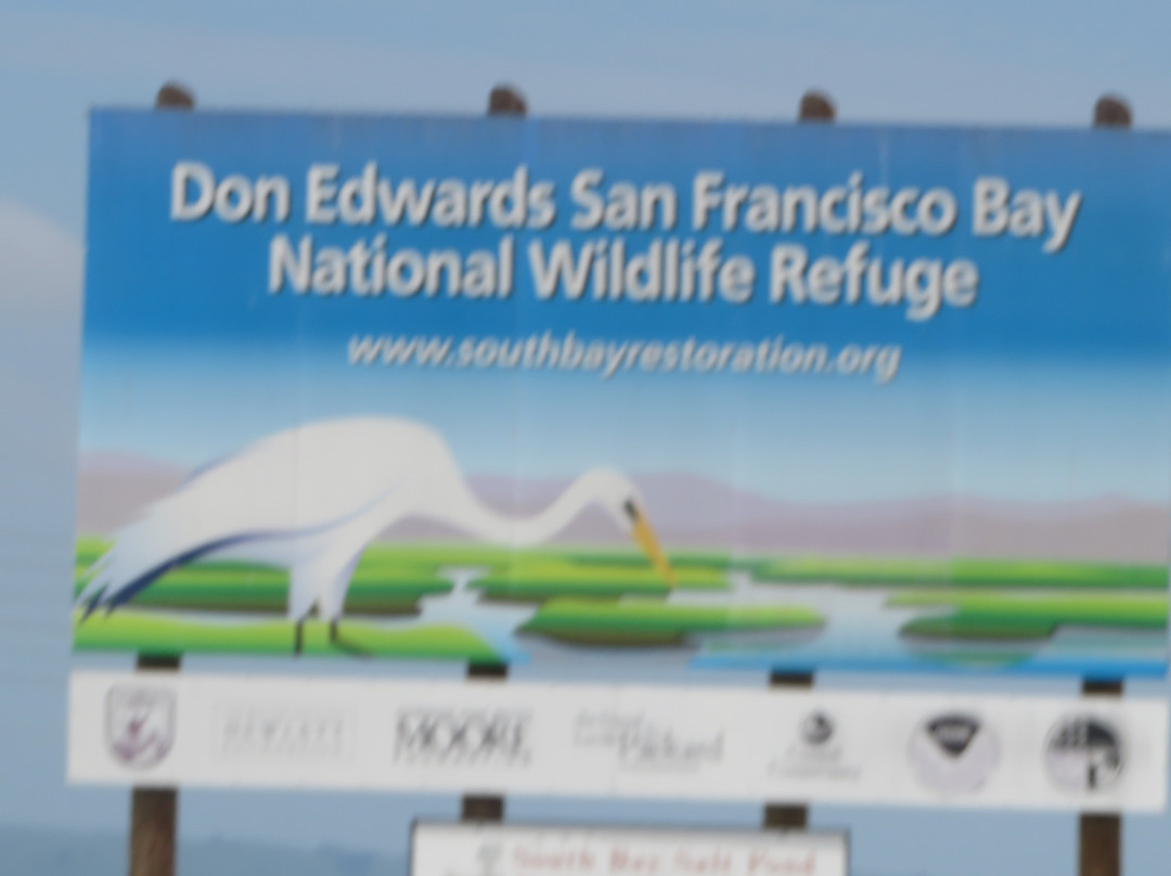 Don Edwards San Francisco National Wildlife Refuge景点图片
