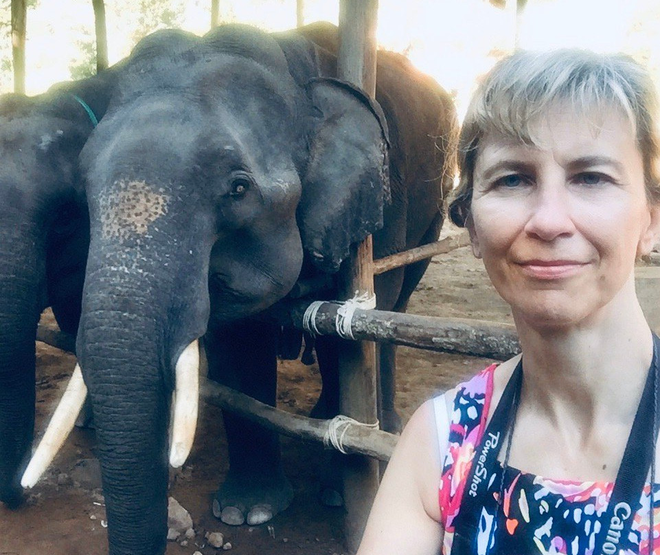 Ngapali Elephants Sanctuary-卡帕里必去景点