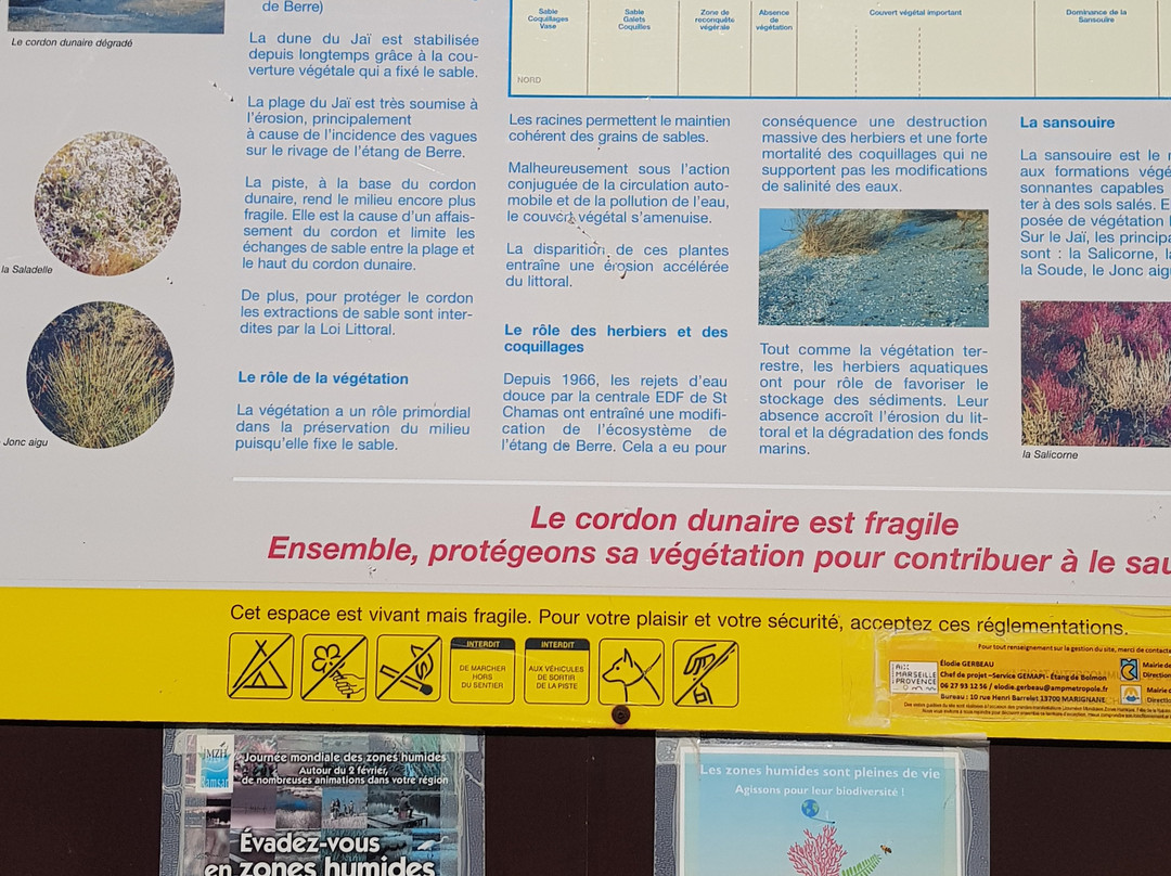 Site naturel protege de l'etang de Bolmon-Chateauneuf-les-Martigues必去景点