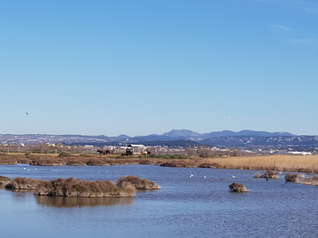 Site naturel protege de l'etang de Bolmon-Chateauneuf-les-Martigues必去景点