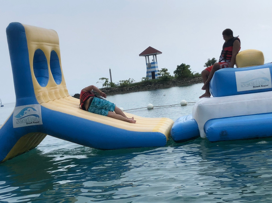 Secdea Beach Resort主图