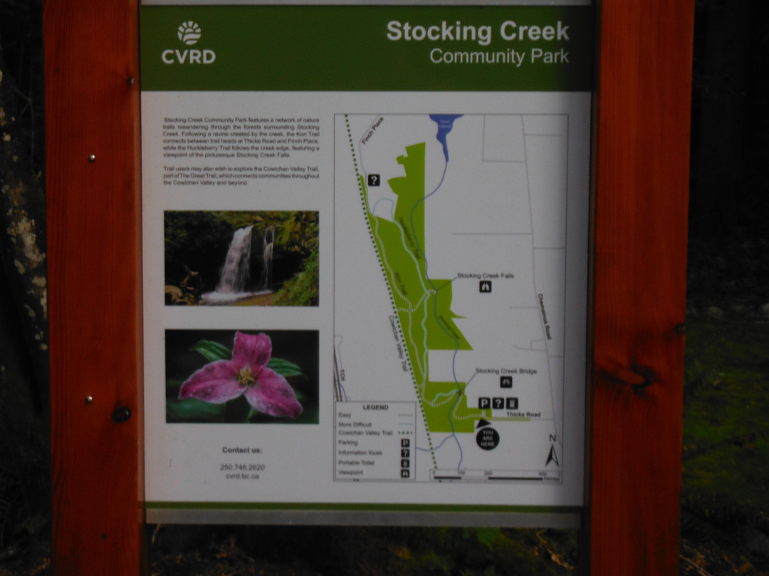 Stocking Creek Trail景点图片