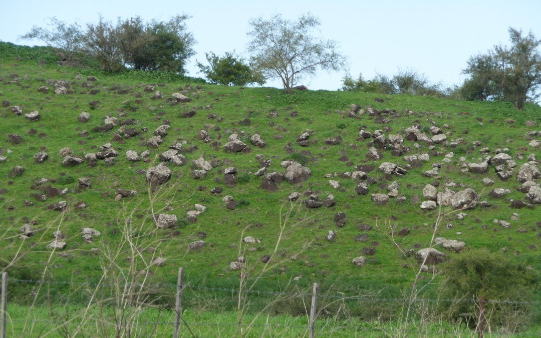 Yehudiya Forest Nature Reserve-Katzrin必去景点
