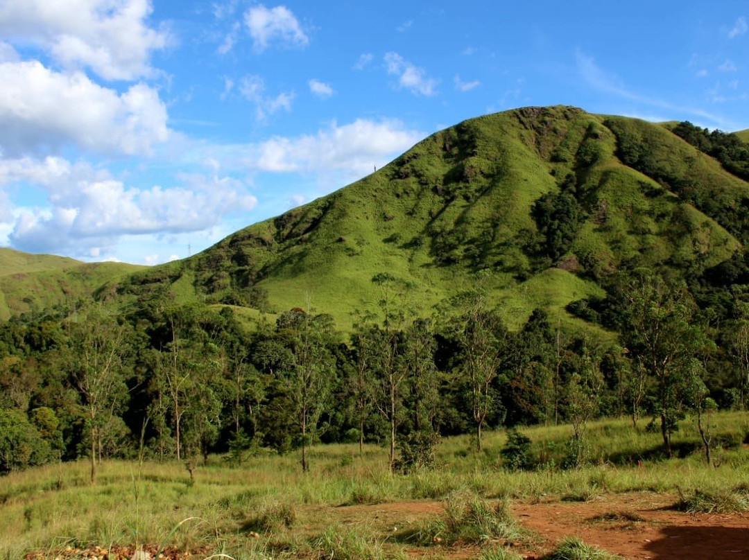 Green Kerala Tours & Travels景点图片
